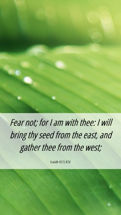 Picture 06 - Isaiah 43:5 ASV Mobile Phone Wallpaper - Fear not; for I am with thee: I will bring thy - Mobile Bible Verse Wallpaper