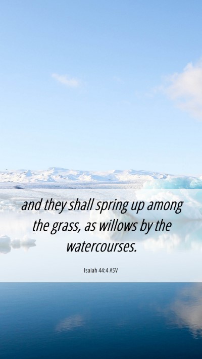 Picture 06 - Isaiah 44:4 ASV Mobile Phone Wallpaper - and they shall spring up among the grass, as - Mobile Bible Verse Wallpaper