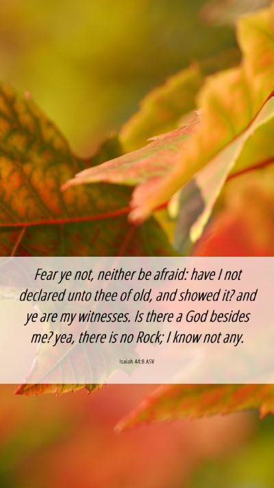 Picture 06 - Isaiah 44:8 ASV Mobile Phone Wallpaper - Fear ye not, neither be afraid: have I not - Mobile Bible Verse Wallpaper