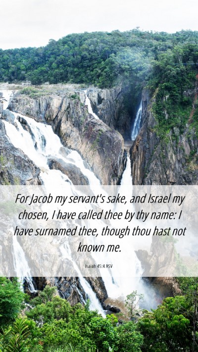 Picture 06 - Isaiah 45:4 ASV Mobile Phone Wallpaper - For Jacob my servant's sake, and Israel my - Mobile Bible Verse Wallpaper