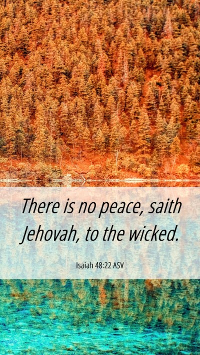 Picture 06 - Isaiah 48:22 ASV Mobile Phone Wallpaper - There is no peace, saith Jehovah, to the - Mobile Bible Verse Wallpaper