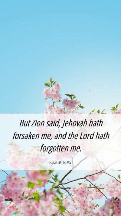 Picture 06 - Isaiah 49:14 ASV Mobile Phone Wallpaper - But Zion said, Jehovah hath forsaken me, and the - Mobile Bible Verse Wallpaper