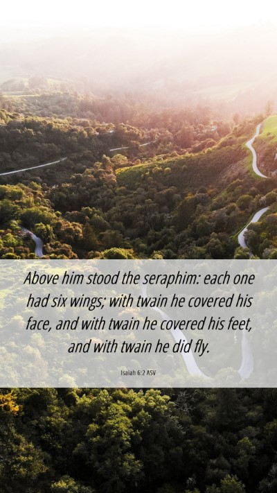 Picture 06 - Isaiah 6:2 ASV Mobile Phone Wallpaper - Above him stood the seraphim: each one had six - Mobile Bible Verse Wallpaper