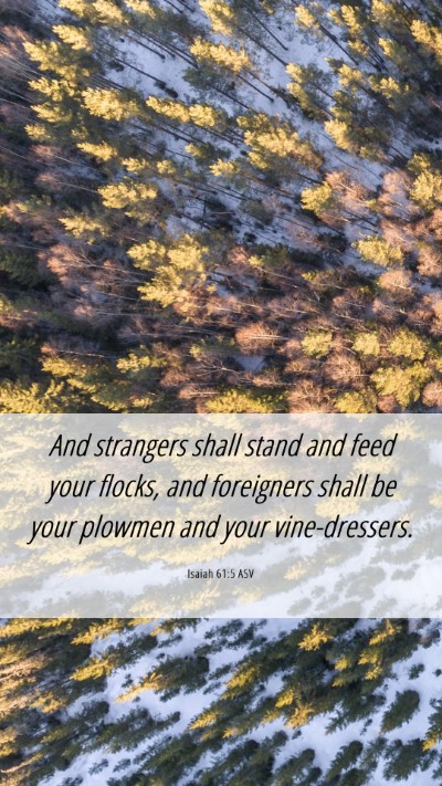 Picture 06 - Isaiah 61:5 ASV Mobile Phone Wallpaper - And strangers shall stand and feed your flocks, - Mobile Bible Verse Wallpaper
