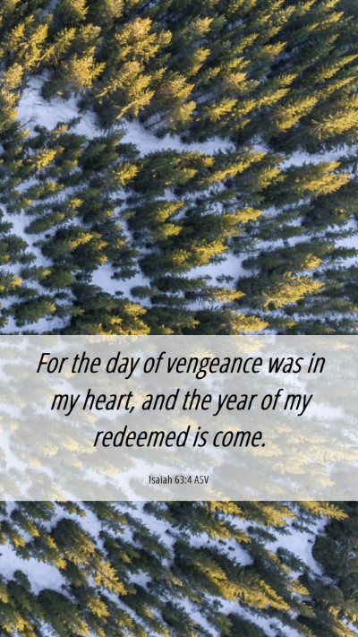 Picture 06 - Isaiah 63:4 ASV Mobile Phone Wallpaper - For the day of vengeance was in my heart, and the - Mobile Bible Verse Wallpaper