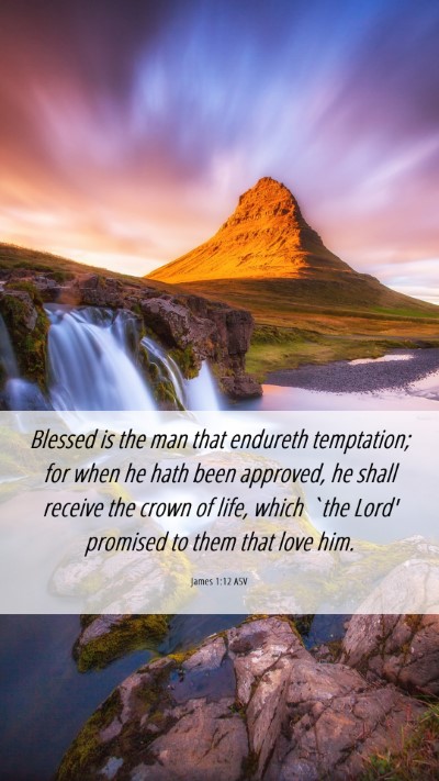 Picture 06 - James 1:12 ASV Mobile Phone Wallpaper - Blessed is the man that endureth temptation; for - Mobile Bible Verse Wallpaper