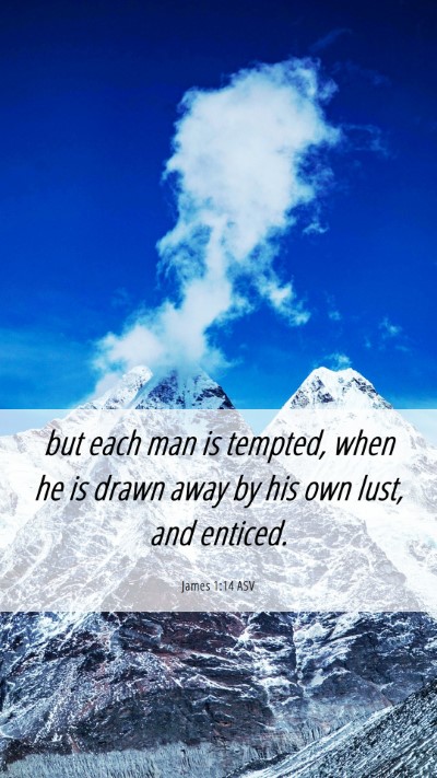 Picture 06 - James 1:14 ASV Mobile Phone Wallpaper - but each man is tempted, when he is drawn away by - Mobile Bible Verse Wallpaper