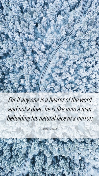 Picture 06 - James 1:23 ASV Mobile Phone Wallpaper - For if any one is a hearer of the word and not a - Mobile Bible Verse Wallpaper