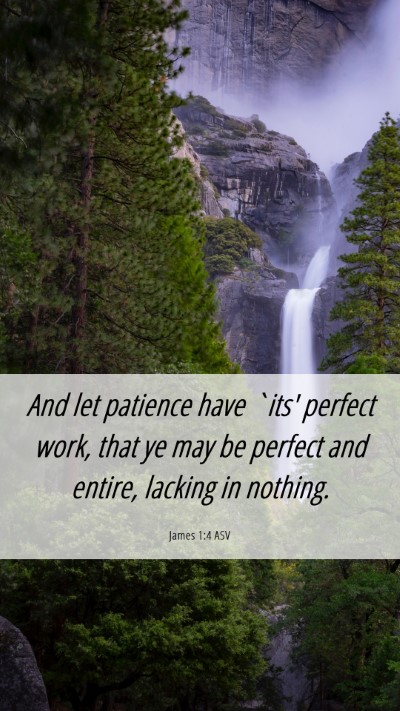 Picture 06 - James 1:4 ASV Mobile Phone Wallpaper - And let patience have `its' perfect work, that ye - Mobile Bible Verse Wallpaper