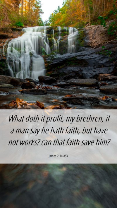 Picture 06 - James 2:14 ASV Mobile Phone Wallpaper - What doth it profit, my brethren, if a man say he - Mobile Bible Verse Wallpaper