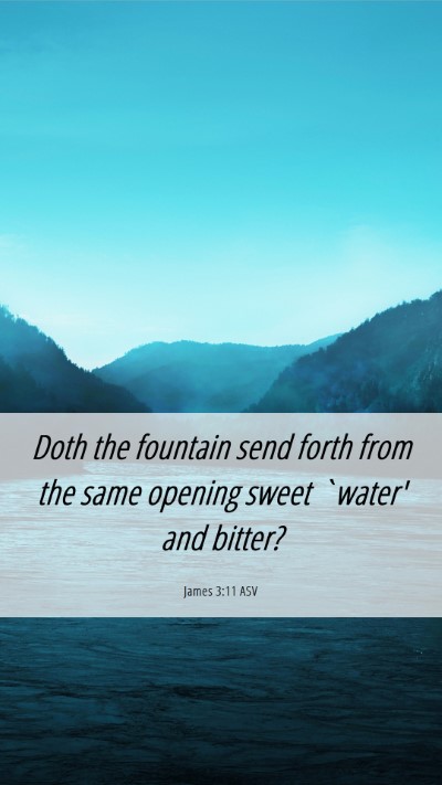 Picture 06 - James 3:11 ASV Mobile Phone Wallpaper - Doth the fountain send forth from the same - Mobile Bible Verse Wallpaper