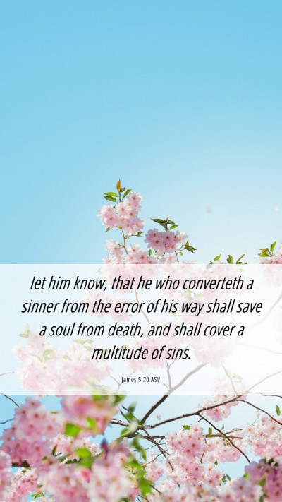 Picture 06 - James 5:20 ASV Mobile Phone Wallpaper - let him know, that he who converteth a sinner - Mobile Bible Verse Wallpaper