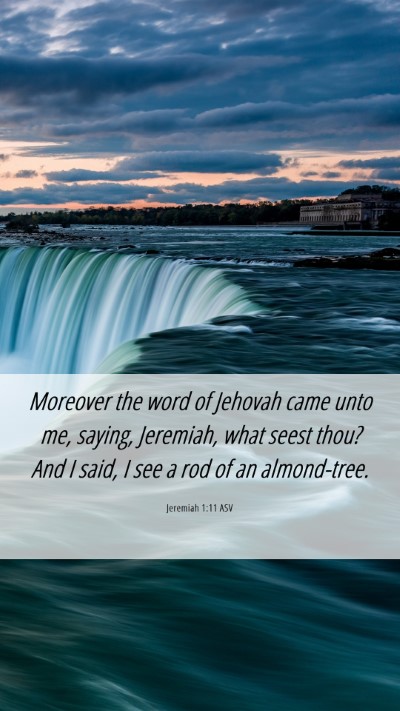 Picture 06 - Jeremiah 1:11 ASV Mobile Phone Wallpaper - Moreover the word of Jehovah came unto me, - Mobile Bible Verse Wallpaper