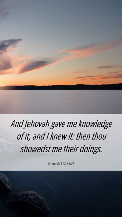Picture 06 - Jeremiah 11:18 ASV Mobile Phone Wallpaper - And Jehovah gave me knowledge of it, and I knew - Mobile Bible Verse Wallpaper