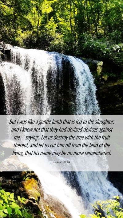 Picture 06 - Jeremiah 11:19 ASV Mobile Phone Wallpaper - But I was like a gentle lamb that is led to the - Mobile Bible Verse Wallpaper