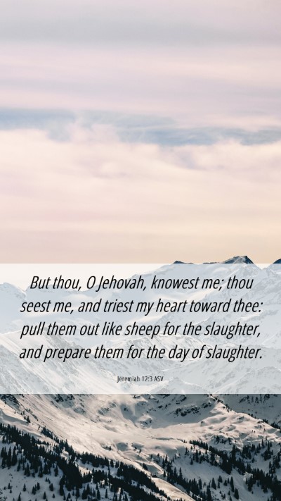Picture 06 - Jeremiah 12:3 ASV Mobile Phone Wallpaper - But thou, O Jehovah, knowest me; thou seest me, - Mobile Bible Verse Wallpaper