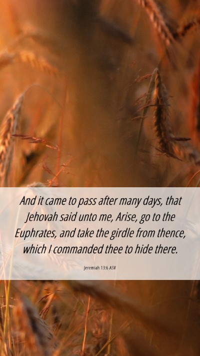 Picture 06 - Jeremiah 13:6 ASV Mobile Phone Wallpaper - And it came to pass after many days, that Jehovah - Mobile Bible Verse Wallpaper