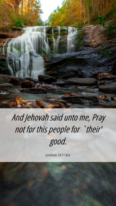 Picture 06 - Jeremiah 14:11 ASV Mobile Phone Wallpaper - And Jehovah said unto me, Pray not for this - Mobile Bible Verse Wallpaper