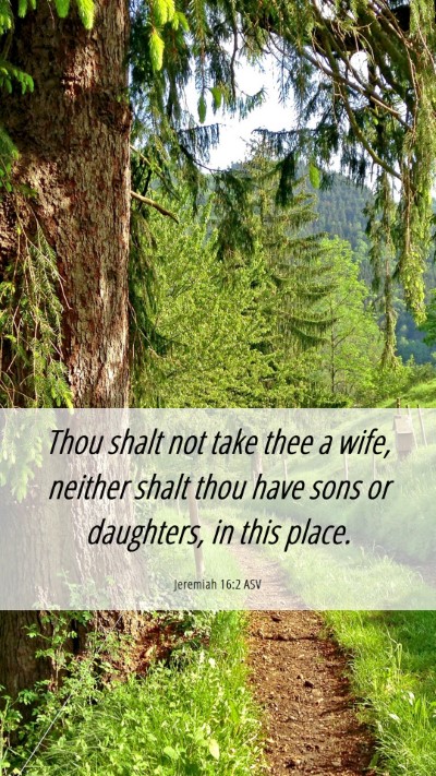 Picture 06 - Jeremiah 16:2 ASV Mobile Phone Wallpaper - Thou shalt not take thee a wife, neither shalt - Mobile Bible Verse Wallpaper