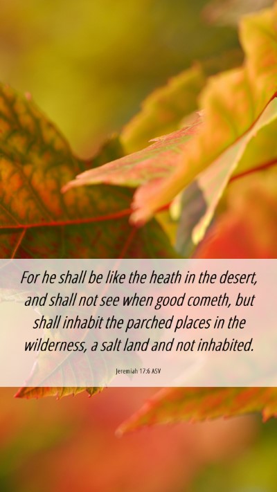 Picture 06 - Jeremiah 17:6 ASV Mobile Phone Wallpaper - For he shall be like the heath in the desert, and - Mobile Bible Verse Wallpaper
