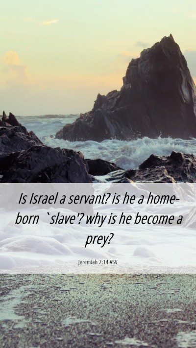 Picture 06 - Jeremiah 2:14 ASV Mobile Phone Wallpaper - Is Israel a servant? is he a home-born `slave'? - Mobile Bible Verse Wallpaper