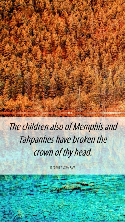 Picture 06 - Jeremiah 2:16 ASV Mobile Phone Wallpaper - The children also of Memphis and Tahpanhes have - Mobile Bible Verse Wallpaper