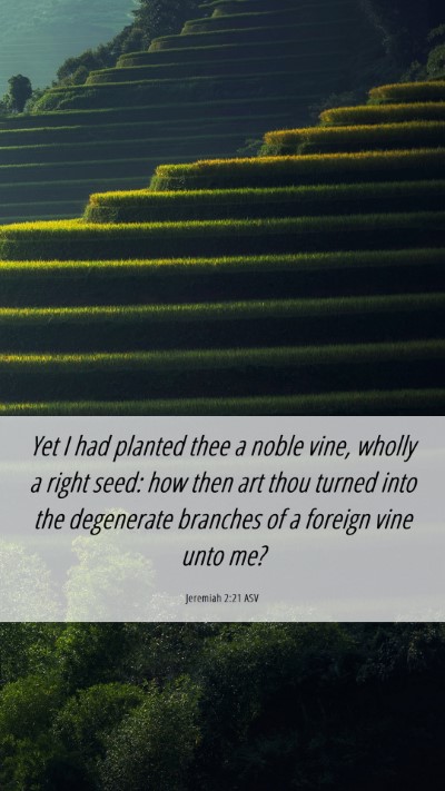 Picture 06 - Jeremiah 2:21 ASV Mobile Phone Wallpaper - Yet I had planted thee a noble vine, wholly a - Mobile Bible Verse Wallpaper