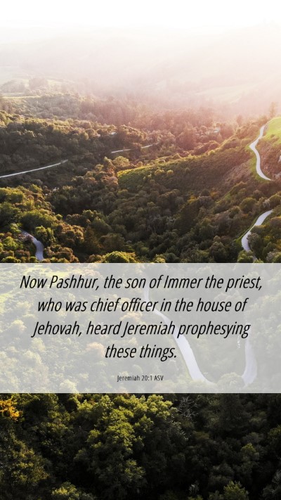Picture 06 - Jeremiah 20:1 ASV Mobile Phone Wallpaper - Now Pashhur, the son of Immer the priest, who was - Mobile Bible Verse Wallpaper