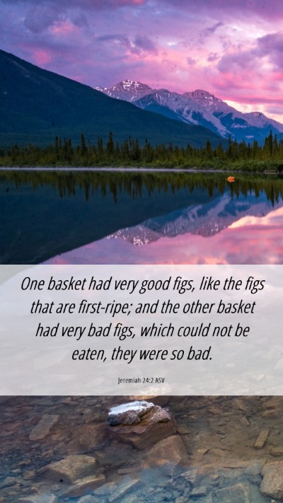Picture 06 - Jeremiah 24:2 ASV Mobile Phone Wallpaper - One basket had very good figs, like the figs that - Mobile Bible Verse Wallpaper