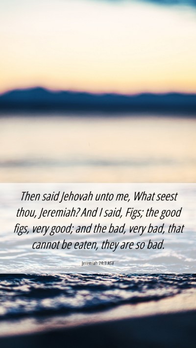 Picture 06 - Jeremiah 24:3 ASV Mobile Phone Wallpaper - Then said Jehovah unto me, What seest thou, - Mobile Bible Verse Wallpaper