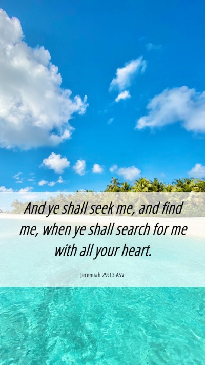 Picture 06 - Jeremiah 29:13 ASV Mobile Phone Wallpaper - And ye shall seek me, and find me, when ye shall - Mobile Bible Verse Wallpaper