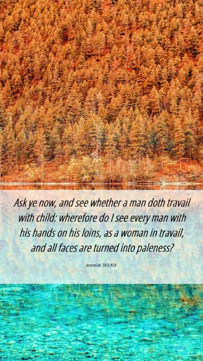 Picture 06 - Jeremiah 30:6 ASV Mobile Phone Wallpaper - Ask ye now, and see whether a man doth travail - Mobile Bible Verse Wallpaper