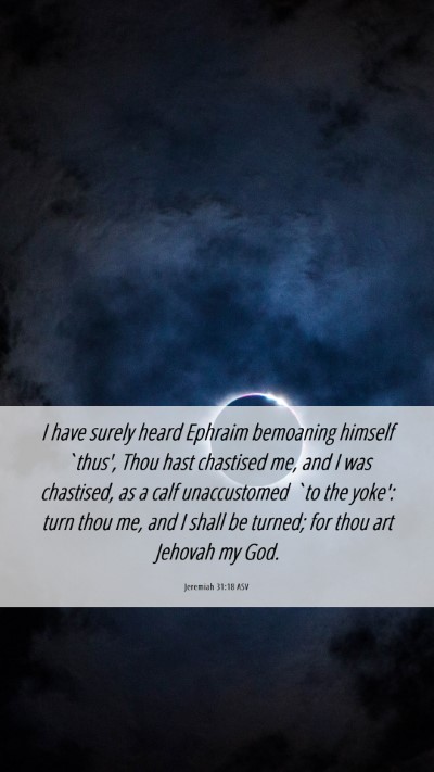 Picture 06 - Jeremiah 31:18 ASV Mobile Phone Wallpaper - I have surely heard Ephraim bemoaning himself - Mobile Bible Verse Wallpaper
