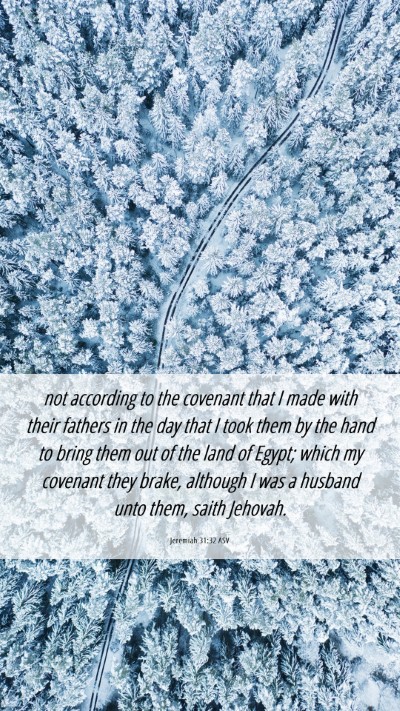 Picture 06 - Jeremiah 31:32 ASV Mobile Phone Wallpaper - not according to the covenant that I made with - Mobile Bible Verse Wallpaper