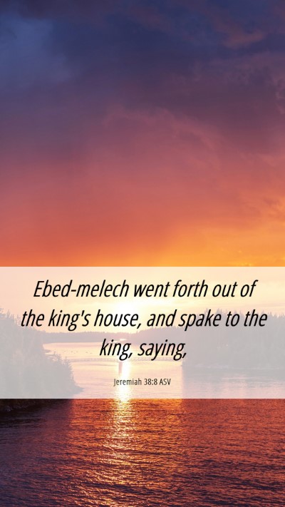 Picture 06 - Jeremiah 38:8 ASV Mobile Phone Wallpaper - Ebed-melech went forth out of the king's house, - Mobile Bible Verse Wallpaper