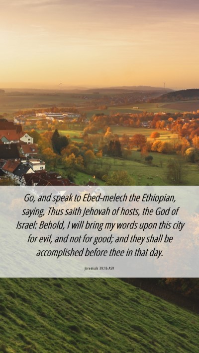Picture 06 - Jeremiah 39:16 ASV Mobile Phone Wallpaper - Go, and speak to Ebed-melech the Ethiopian, - Mobile Bible Verse Wallpaper