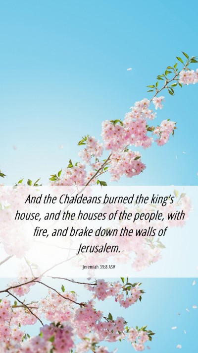 Picture 06 - Jeremiah 39:8 ASV Mobile Phone Wallpaper - And the Chaldeans burned the king's house, and - Mobile Bible Verse Wallpaper