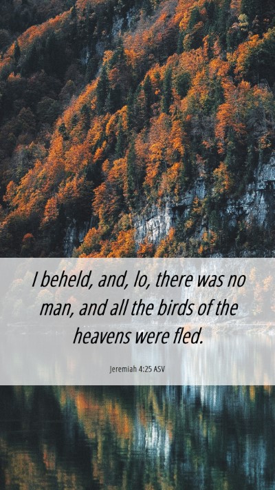 Picture 06 - Jeremiah 4:25 ASV Mobile Phone Wallpaper - I beheld, and, lo, there was no man, and all the - Mobile Bible Verse Wallpaper