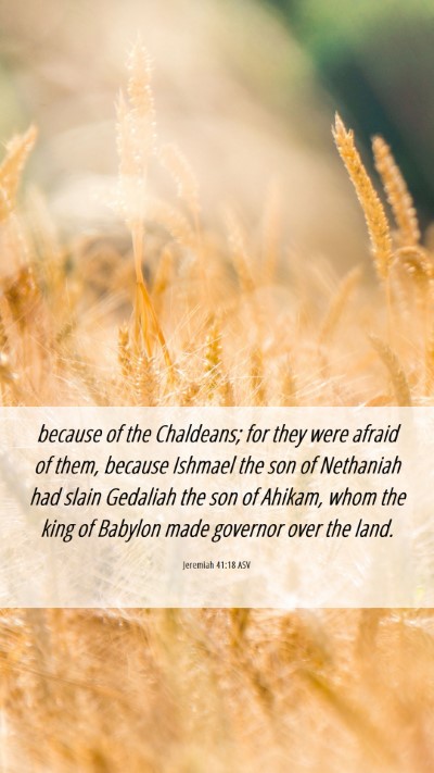 Picture 06 - Jeremiah 41:18 ASV Mobile Phone Wallpaper - because of the Chaldeans; for they were afraid of - Mobile Bible Verse Wallpaper