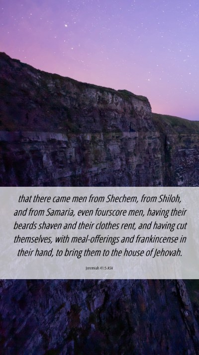 Picture 06 - Jeremiah 41:5 ASV Mobile Phone Wallpaper - that there came men from Shechem, from Shiloh, - Mobile Bible Verse Wallpaper