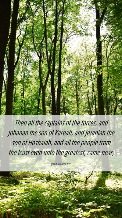 Picture 06 - Jeremiah 42:1 ASV Mobile Phone Wallpaper - Then all the captains of the forces, and Johanan - Mobile Bible Verse Wallpaper