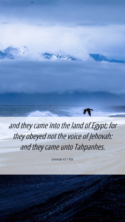 Picture 06 - Jeremiah 43:7 ASV Mobile Phone Wallpaper - and they came into the land of Egypt; for they - Mobile Bible Verse Wallpaper
