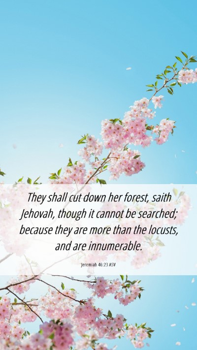 Picture 06 - Jeremiah 46:23 ASV Mobile Phone Wallpaper - They shall cut down her forest, saith Jehovah, - Mobile Bible Verse Wallpaper