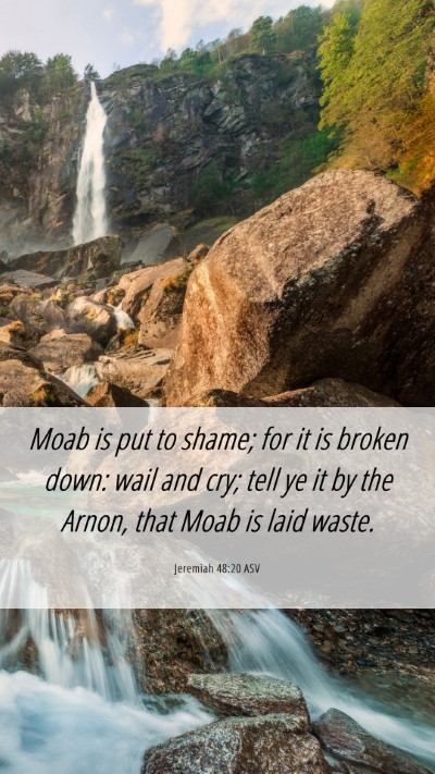 Picture 06 - Jeremiah 48:20 ASV Mobile Phone Wallpaper - Moab is put to shame; for it is broken down: wail - Mobile Bible Verse Wallpaper