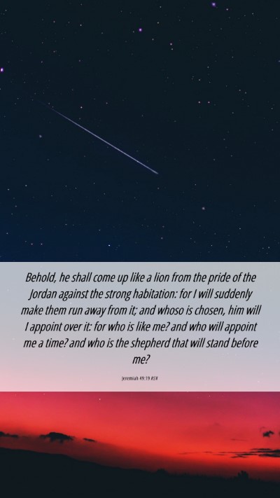 Picture 06 - Jeremiah 49:19 ASV Mobile Phone Wallpaper - Behold, he shall come up like a lion from the - Mobile Bible Verse Wallpaper