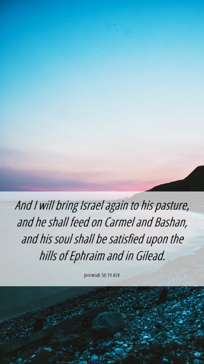 Picture 06 - Jeremiah 50:19 ASV Mobile Phone Wallpaper - And I will bring Israel again to his pasture, and - Mobile Bible Verse Wallpaper