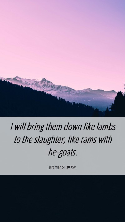 Picture 06 - Jeremiah 51:40 ASV Mobile Phone Wallpaper - I will bring them down like lambs to the - Mobile Bible Verse Wallpaper