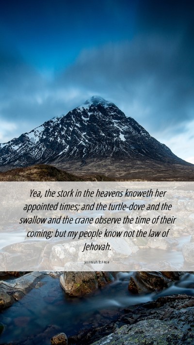 Picture 06 - Jeremiah 8:7 ASV Mobile Phone Wallpaper - Yea, the stork in the heavens knoweth her - Mobile Bible Verse Wallpaper