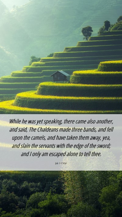 Picture 06 - Job 1:17 ASV Mobile Phone Wallpaper - While he was yet speaking, there came also - Mobile Bible Verse Wallpaper