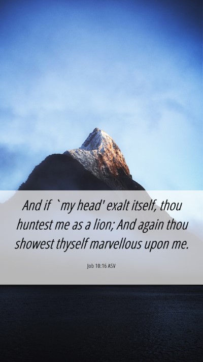 Picture 06 - Job 10:16 ASV Mobile Phone Wallpaper - And if `my head' exalt itself, thou huntest me as - Mobile Bible Verse Wallpaper